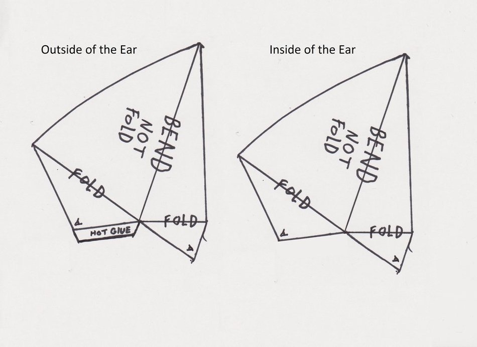 drawings as a picture for clipart