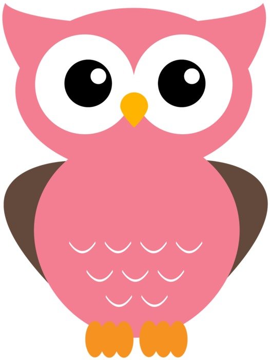 Pink Cartoon Owl Clip Art N12