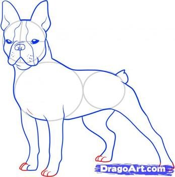 Boston Terrier Cartoon Clip Art