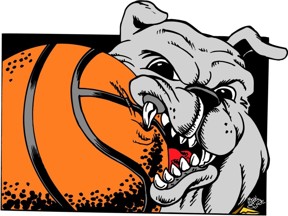 İllustration of Bulldog and basketball