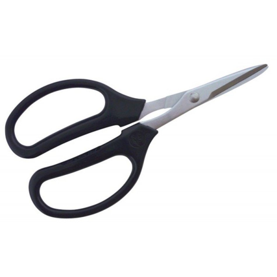 Black Scissors