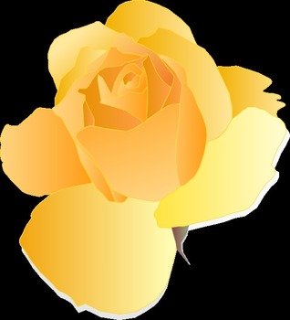 Yellow Rose Clip Art N37