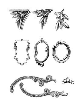 Currency Ornaments Vector