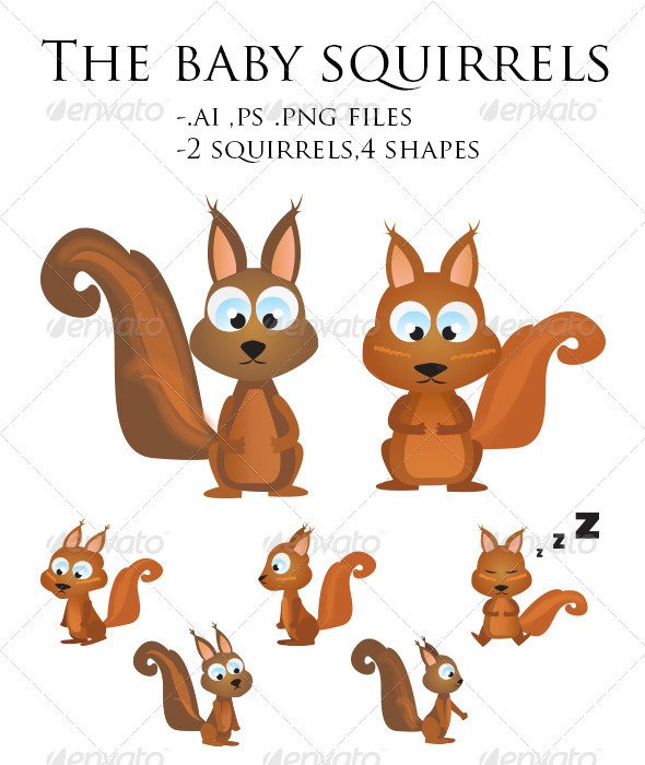 Baby Animal Cartoon Squirrel