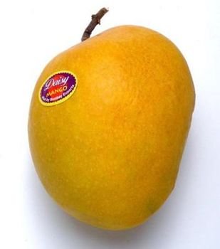 Mango Fruit N10