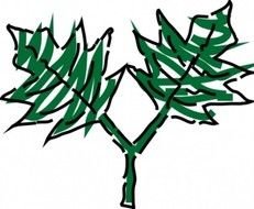 Green Leaves Clip Art Free N8