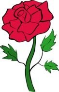 Cartoon beautiful rose with the green leaves clipart