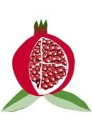 Cartoon cut pomegranate Fruit