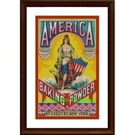 America Baking Powder Ad Pattern