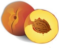 Peach Clip Art N58