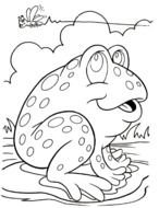 Frog Coloring Pages drawing