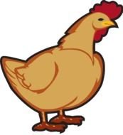 Chicken Clip Art N103
