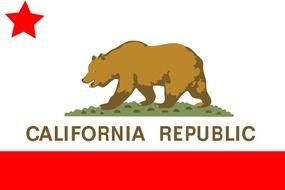 California Bear Vector