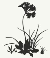 Scan Clip Art Free