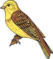 drawing of a yellow bird