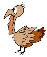 sad turkey as a graphic illustration