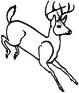 Deer Head Embroidery Design