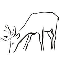 sketch of a deer on a white background