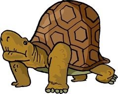 Old big Cartoon Turtle