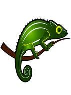 Animal Vector Images Clip Art Chameleon
