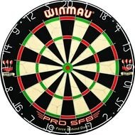 Dart Board N12