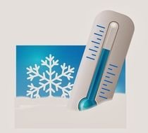 thermometer icon