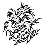 Tribal Dragon Tattoos N16