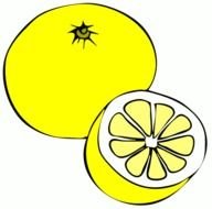 Fruit Clip Art N126