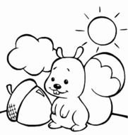 Squirrel Coloring Pages N5