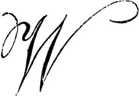 Letter W as a graphic illustration