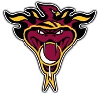 Arizona Cardinals Logo N16