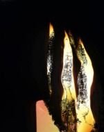 Animated Candle Flame N2