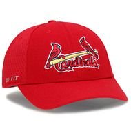 Flex Fit Mesh Baseball Caps