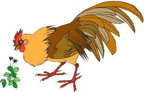 Chicken and flower drawing