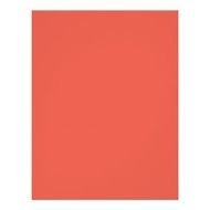 Coral Color