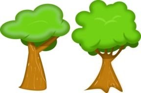 Soft Trees drawing