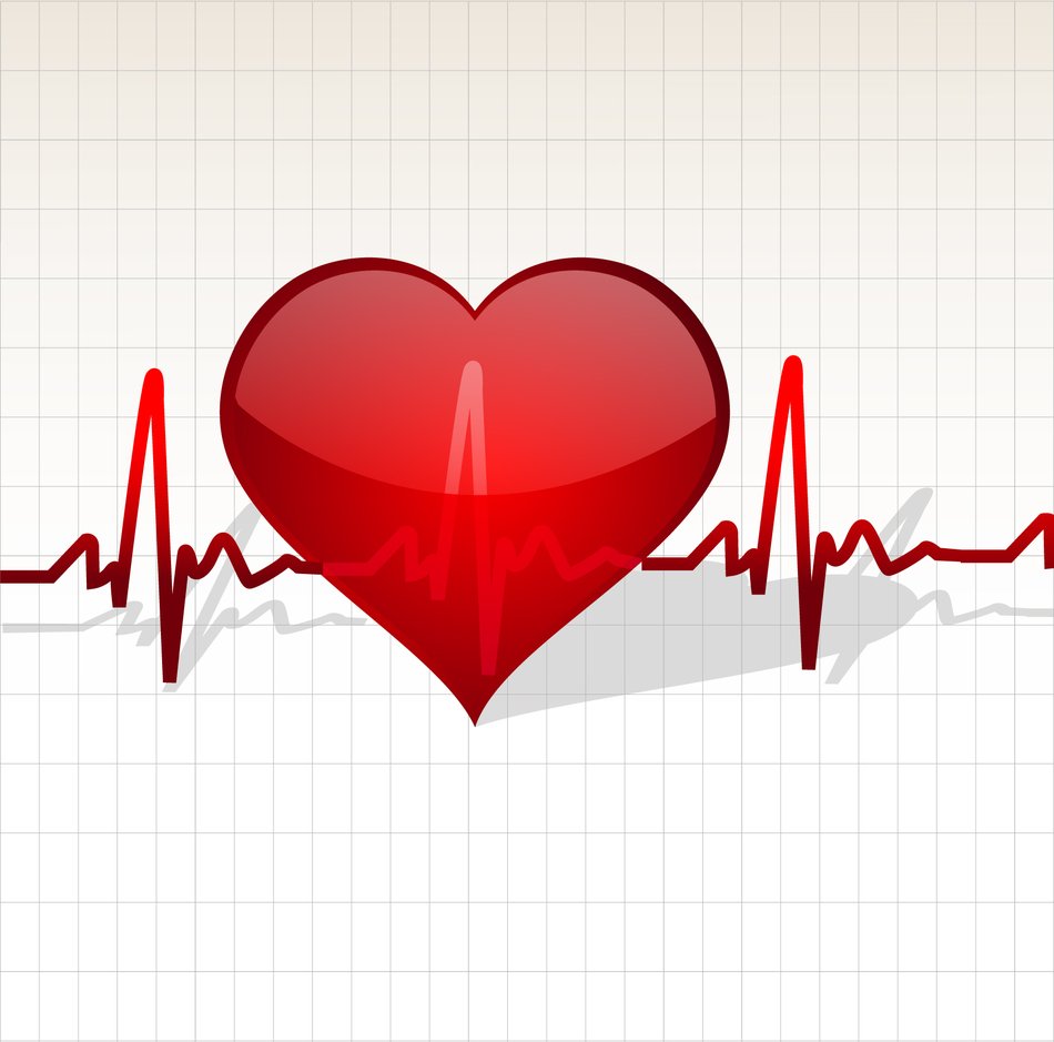 Vector Coraz oacuten ElectroCardiograma