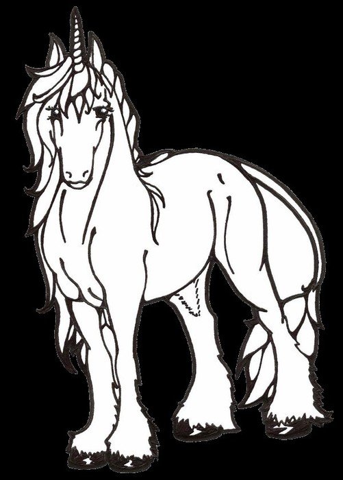Realistic Unicorn Coloring Pages N2