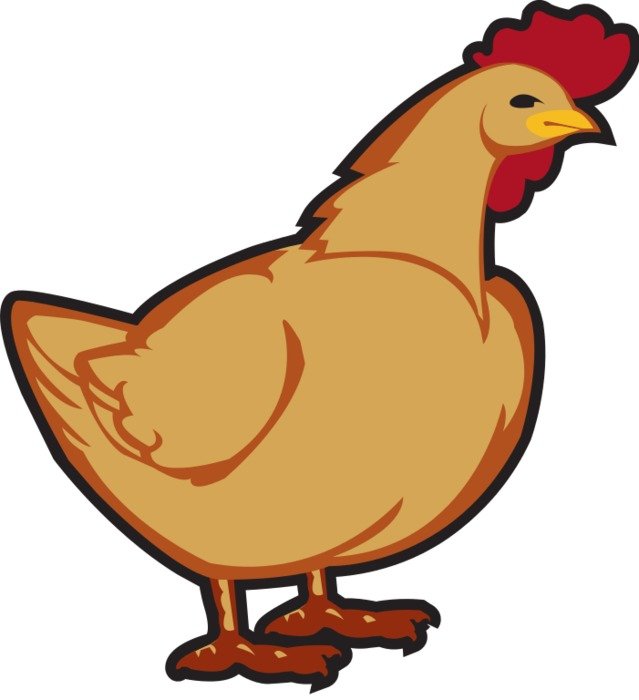 Chicken Clip Art N103