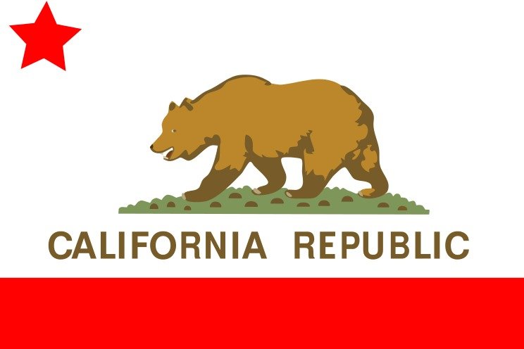 California Bear Vector