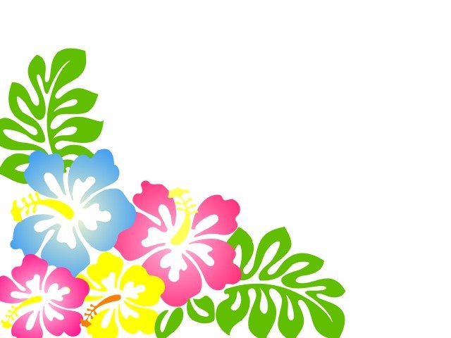 Hawaiian Clip Art Borders N8