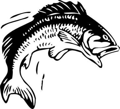 Fish Clip Art N240