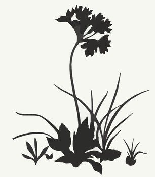 Scan Clip Art Free