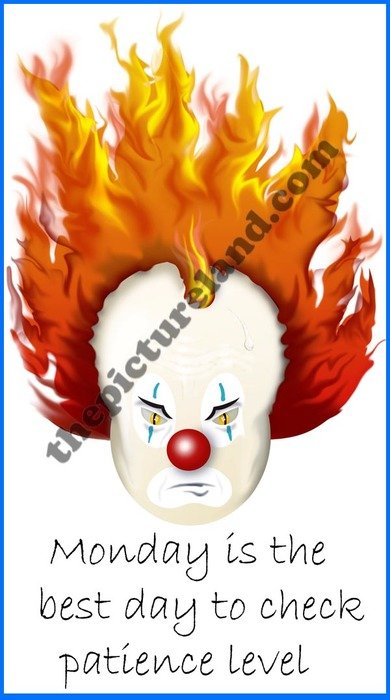 Cartoon Funny Clown Quotes
