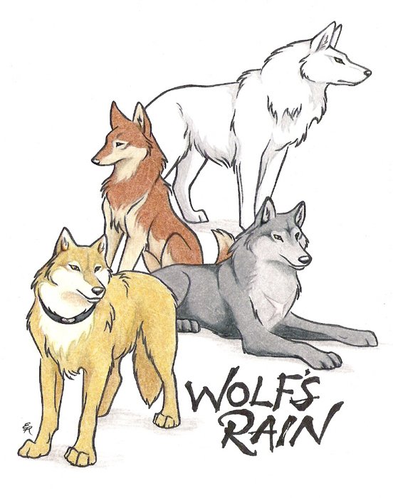 four wolves, Wolfâs Rain anime series characters, Drawing