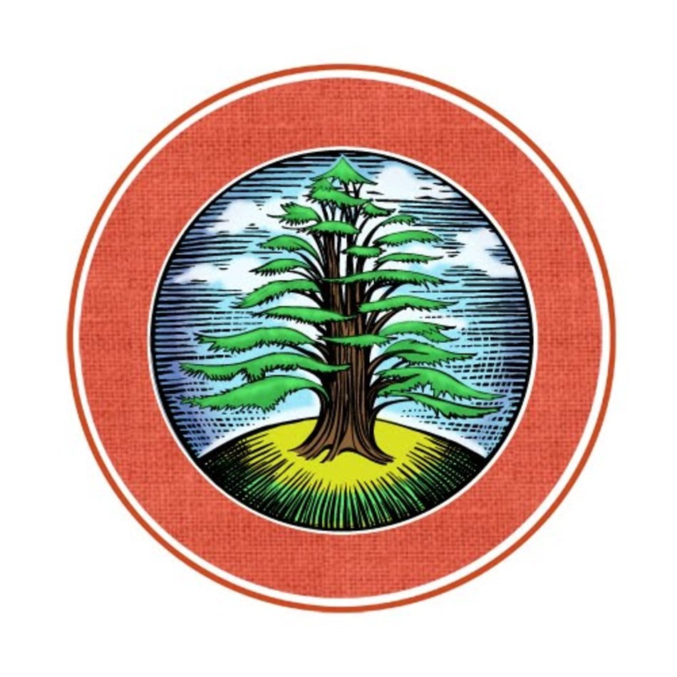 Lebanon Cedar Tree N2