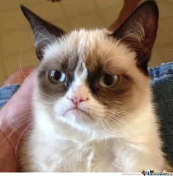 Grumpy Cat N2