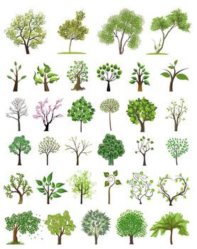 Tree Vector Illustration N5