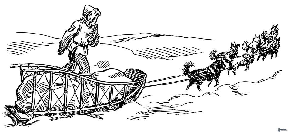 Sled Dog Clip Art N16