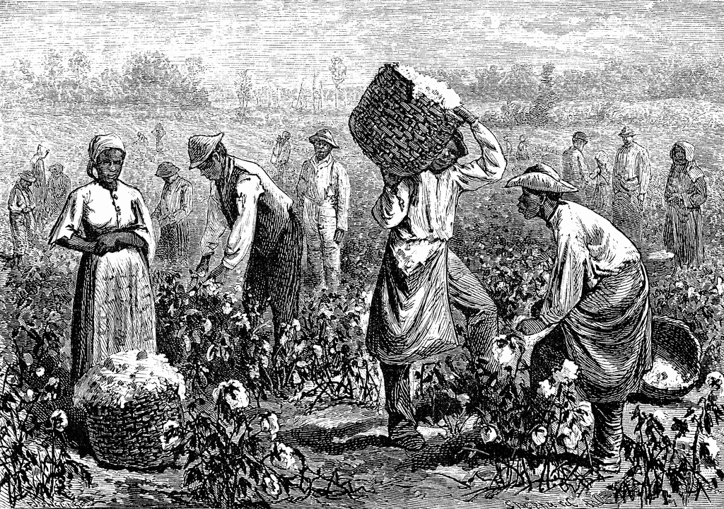 Slaves Picking Cotton drawing free image download
